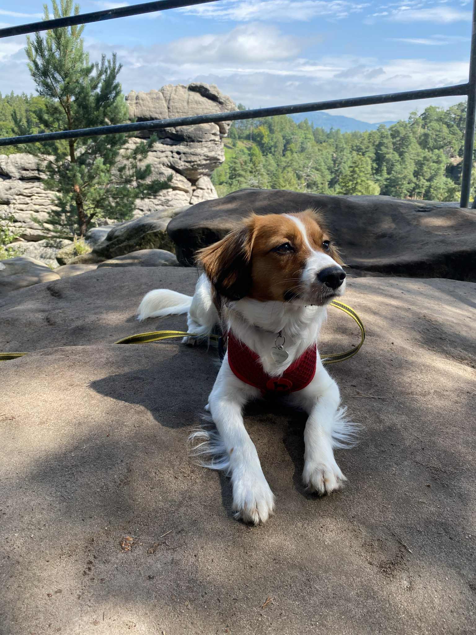 Guinevere z Labských Pískovců